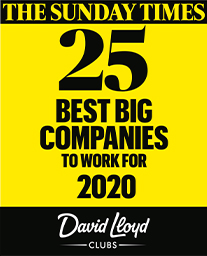 The Sunday Times 25 best big companies